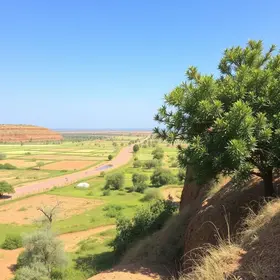 Roteiro pela área rural de Barra Mansa para conhecer os distritos