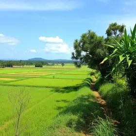 Rialto: natureza, agricultura e vida rural em Barra Mansa