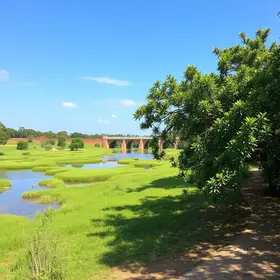O que conhecer no Parque Centenário de Barra Mansa