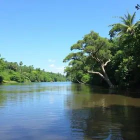Serra do Rio Bonito: natureza e conservação ambiental em Barra Mansa