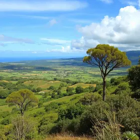 Passeio por Floriano: natureza e paisagem rural de Barra Mansa