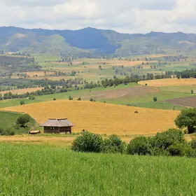 Passeio por Rialto: agricultura, natureza e vida no campo