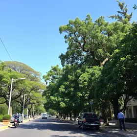 Ruas no entorno do Jardim das Preguiças serão interditadas neste sábado para manutenção arbórea | Notícias